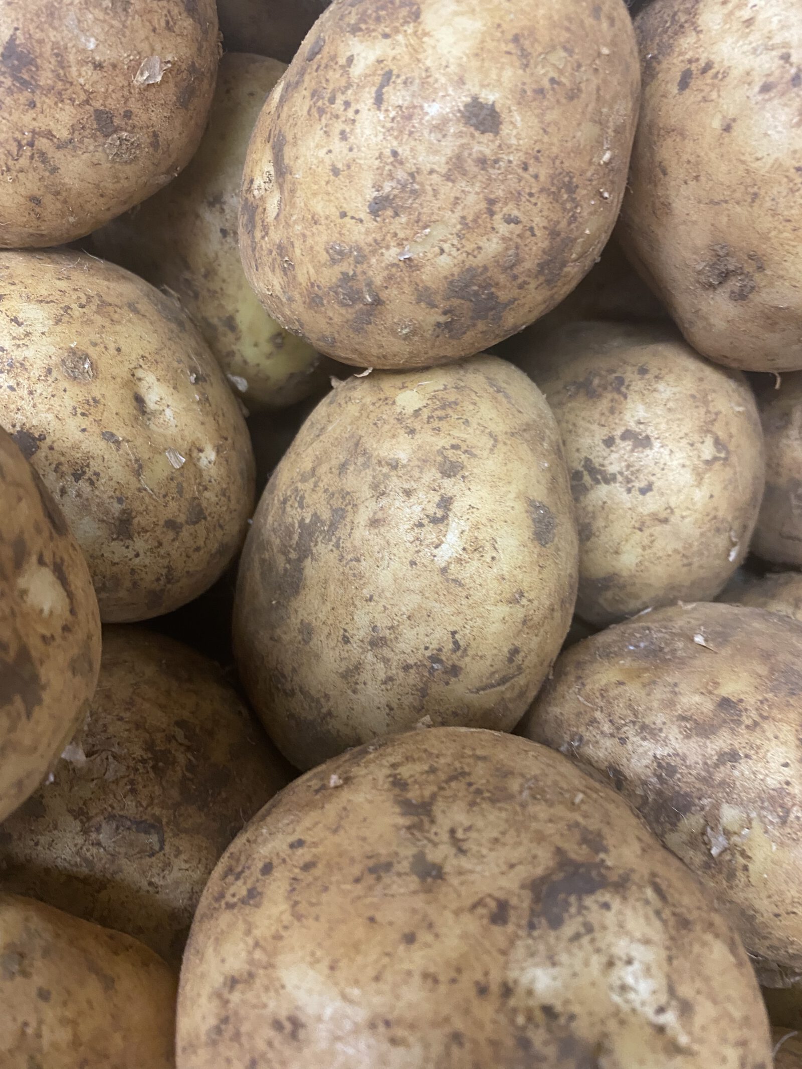 Potato dutch cream Greengrocers Pantry